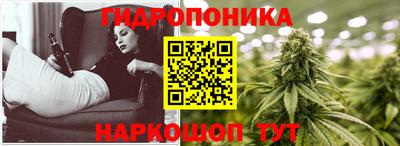 эйфоретик Лесосибирск