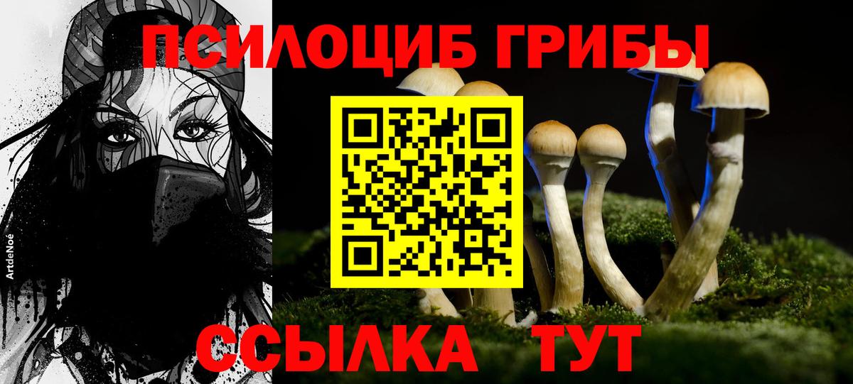 Кандалакша  Псилоцибиновые грибы Psilocybe  Псилоцибиновые грибы Cubensis  Вход с VPN 
