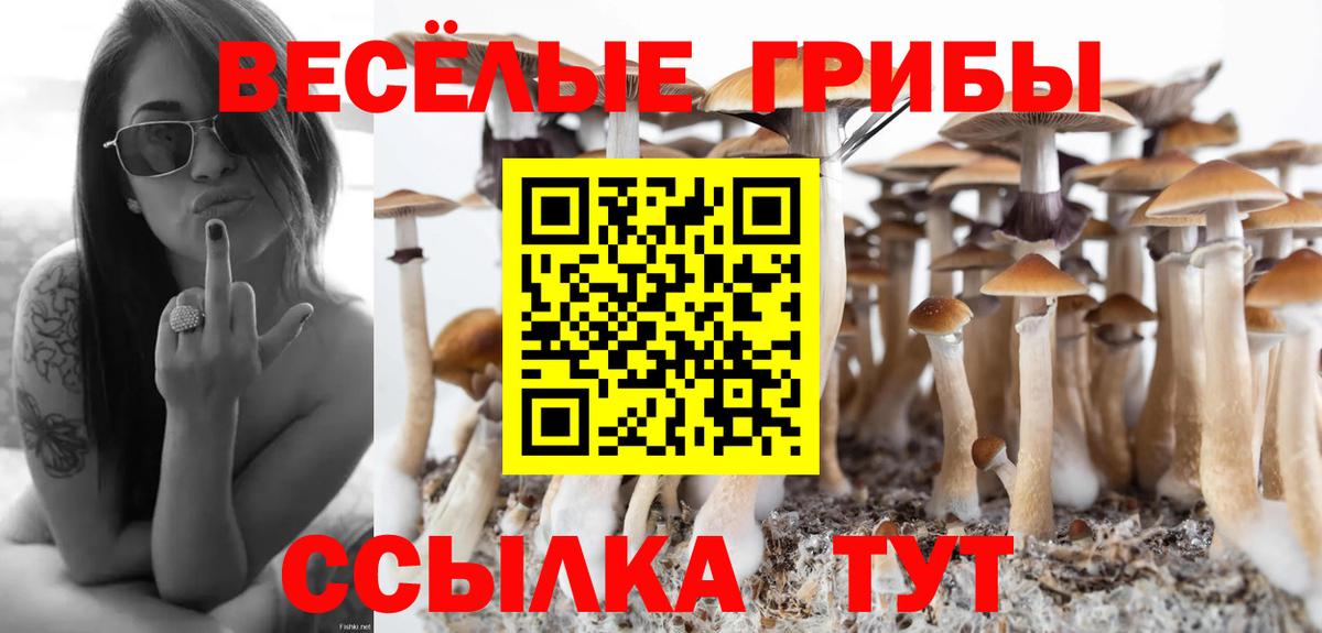 Галлюциногенные грибы Cubensis Кандалакша